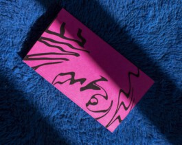 Kassandra Knauß – Portfolio