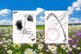 Kassandra Knauß – Portfolio