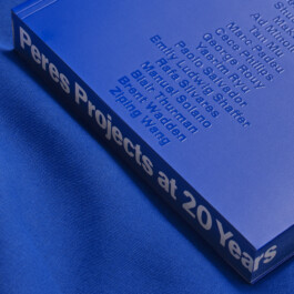 Kassandra Knauß – Portfolio