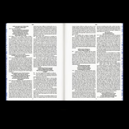 Kassandra Knauß – Portfolio