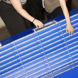 Kassandra Knauß – Portfolio