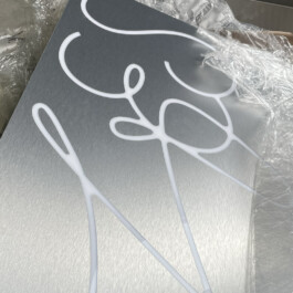 Kassandra Knauß – Portfolio