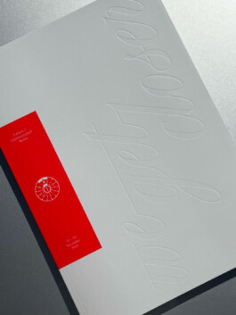 Kassandra Knauß – Portfolio