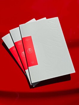 Kassandra Knauß – Portfolio