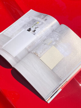 Kassandra Knauß – Portfolio