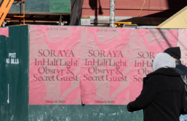 Kassandra Knauß – Portfolio