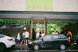 Kassandra Knauß – Portfolio