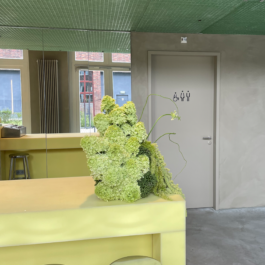 Kassandra Knauß – Portfolio